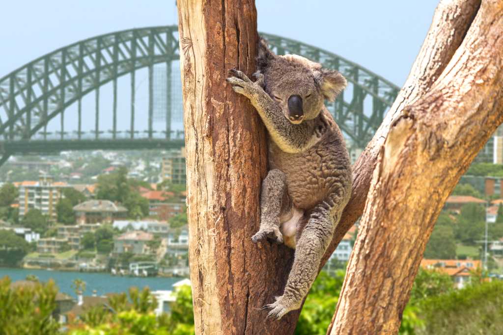 shutterstock_205277002